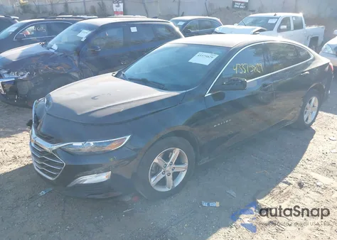 2019 Chevrolet Malibu 1Ls z USA, uszkodzony, nr VIN 1G1ZB5ST4KF131110
